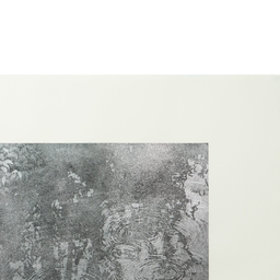 Reflection - Printin' Online